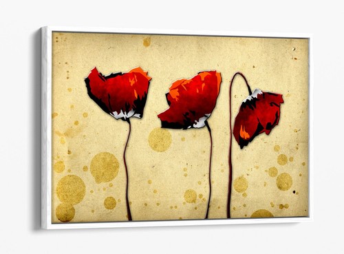 Red poppies abstract - poppies, flower