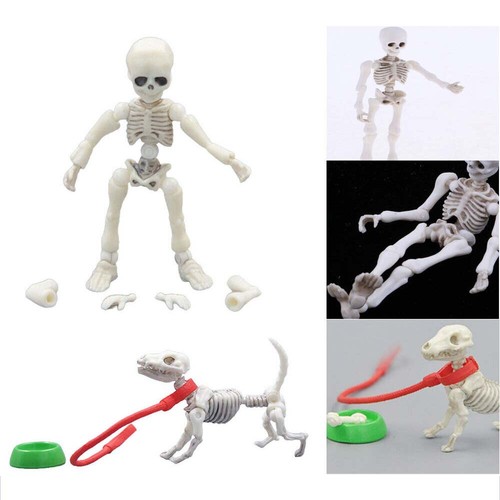 Mini pose skeleton doll dog - skeleton,
