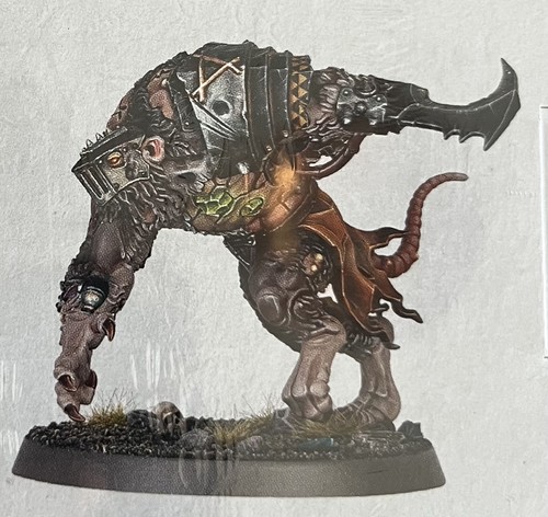 Rat ogor single - ogor, c
