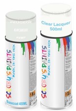 Spray Aerosol Paint For