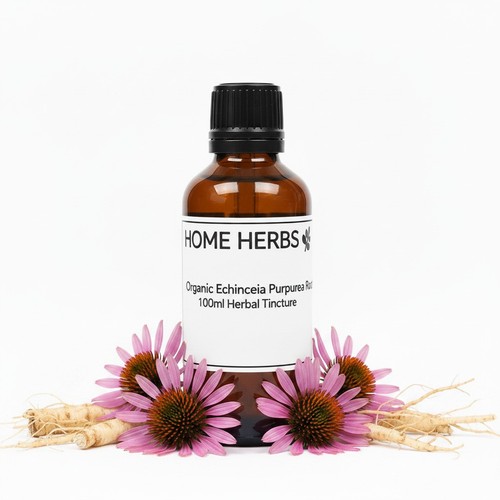 Organic echinacea purpurea - organic,