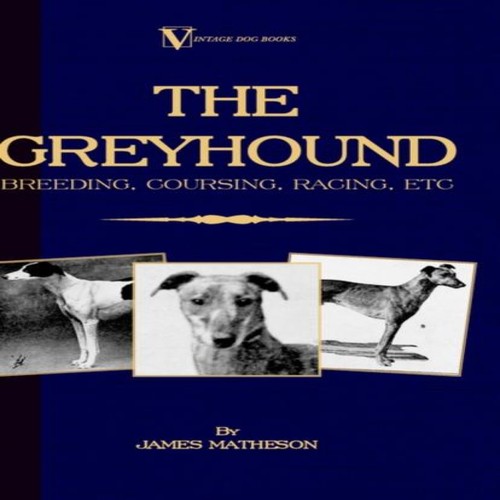 The greyhound breeding - the,