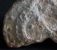 Antique Japan X Century Buddhist temple architecture roof tiles Kawara