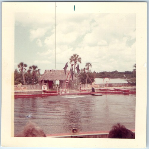 C1960s floridaland osprey - osprey, fl