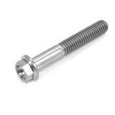 m7 x 45 Titanium Hex Flange