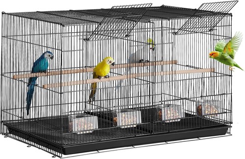 Bird cage small - bird, cage,
