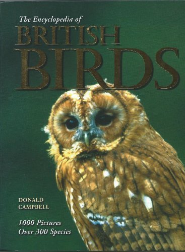 British birds - birds, (encyclopedia)