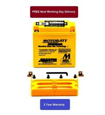 Battery (Motobatt) for 2008