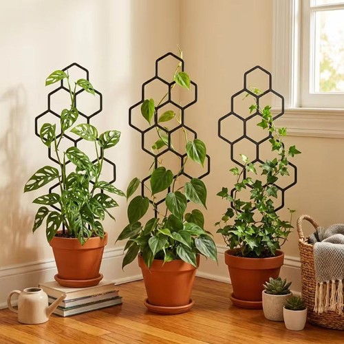 Pack honeycomb plant trellis - honeycomb,