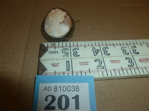 Antique victorian shell cameo - antique,