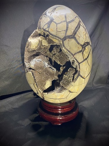 Huge reactive septarian - huge,