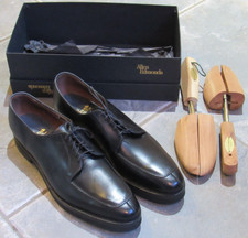 NEW Allen Edmonds Delray Shoes