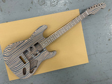 ELECTRIC GUITAR ZEBRA STYLE BODY AND ZEBRA STYLE 22F NECK, SCALE 25.5”, z2