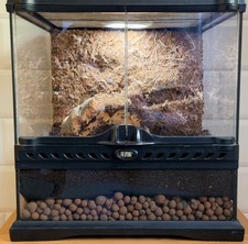 Exo Terra Mini Glass Clear Natural Terrarium 30x30x30cm