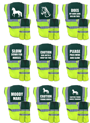 Horse riding vis - riding,