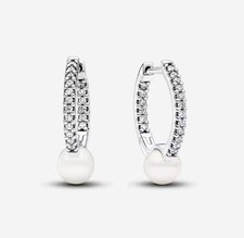 Stunning Silver HOOPS Earrings