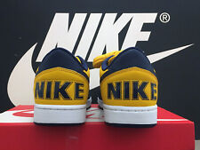 DS 2023 NIKE TERMINATOR LOW OG