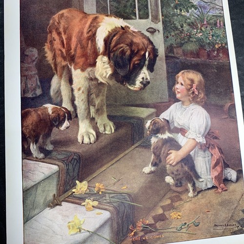1917 bernard dog elsley - bernard,