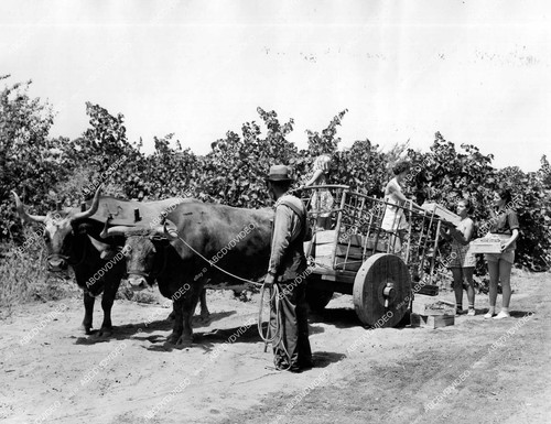 1936 lodi california - 1936,