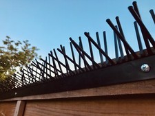 Fence Spikes - Bird Deterrent - Anti Pigeon Spikes - Effective & Easy to Mount