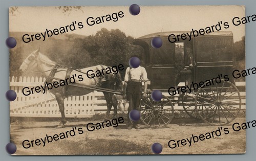 Rppc dairy horse - horse, wagon