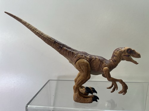 Jurassic world velociraptor - world,