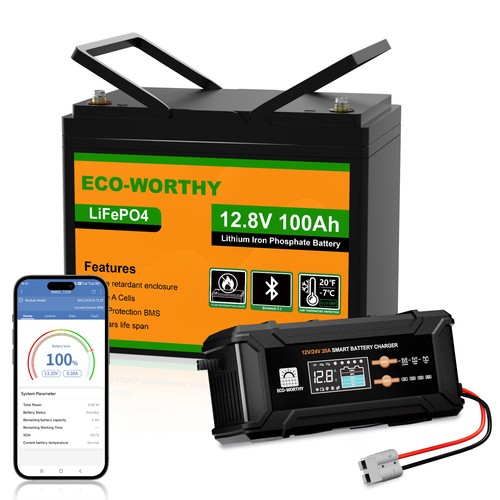12v 100ah lifepo4 lithium - 12v,
