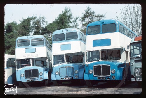 Original bus slide - tally, ho