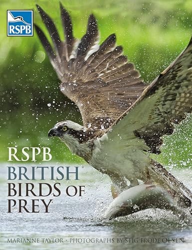 Rspb british birds prey by - birds,