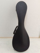 mandolin case hard case