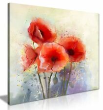 Water Color Red Poppy Flowers