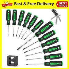13-Piece Magnetic Torx