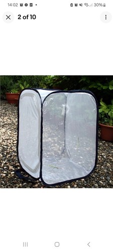 Insect and butterfly habitat - insect,
