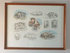 Vintage Nigel Hemming Limited Edition Watercolour Framed Print of Pigs & Piglets
