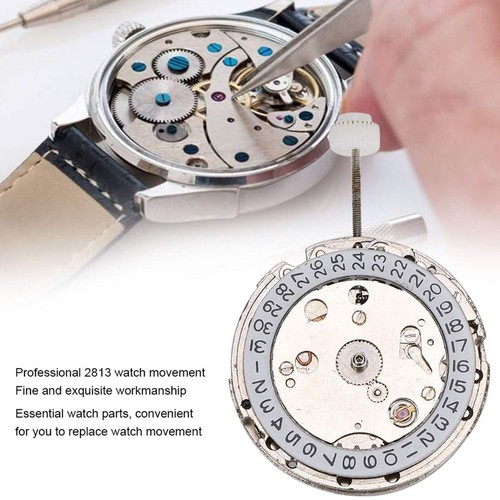 White movement 2813 - white, watch