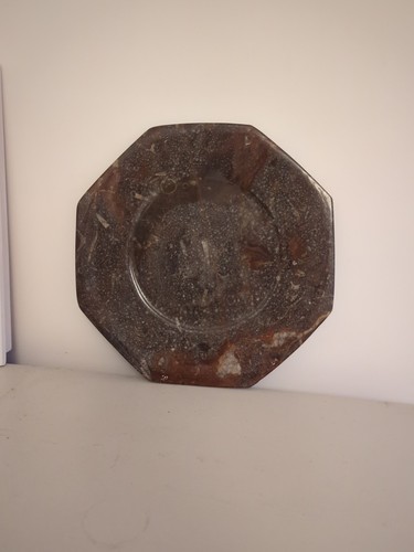 Octagonal polished fossil - fossil, rock