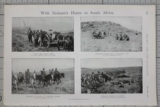 1900 PRINT BRABANTS HORSE IN