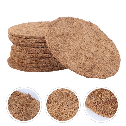 12pcs canary outdoor - 12pcs,