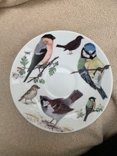Roy Kirkham Breakfast Cup Saucer Garden Bird
