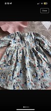 bluey and bingo dress for