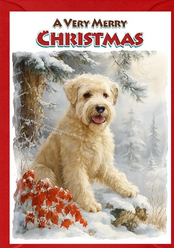 Soft coated wheaten - soft,
