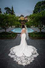 Wedding Dress (+Veil), Justin