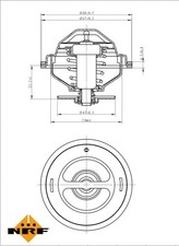 Thermostat, coolant fits