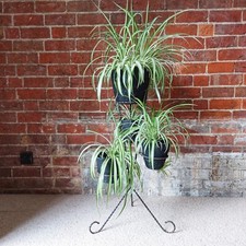 Fab Vintage Retro Mid Century