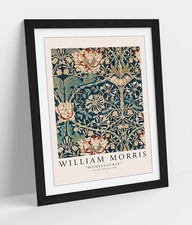 William morris honeysuckle - william, 'honeysuckle'