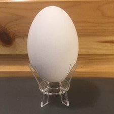 Goose Egg & Eco Acrylic Stand