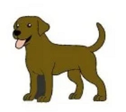 Labrador pin badges cartoon - labrador, badges.