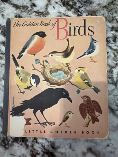 Vintage little golden book - vintage,