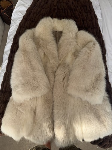 Authentic arctic fox - authentic,