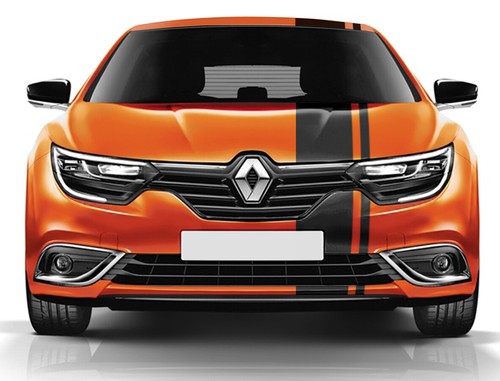 Single bande racing stripes - bande,